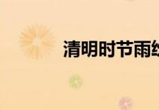 清明时节雨纷纷的意思是什么
