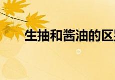 生抽和酱油的区别 生抽和酱油一样吗