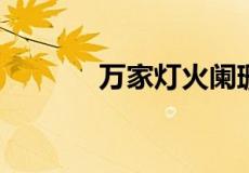 万家灯火阑珊处下一句是什么