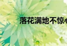 落花满地不惊心打晋朝一名人姓名