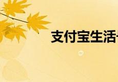 支付宝生活号里有哪些借款?