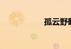 孤云野鹤是什么动物