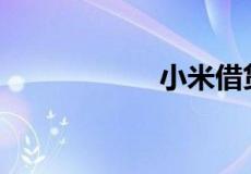 小米借贷利息多少？