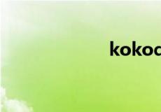 kokodayo什么梗