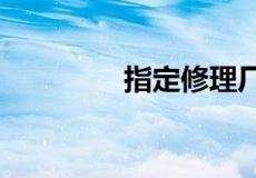 指定修理厂险是什么意思?