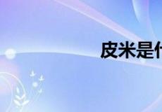 皮米是什么长度单位