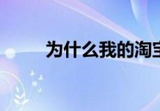 为什么我的淘宝不能用余额宝支付
