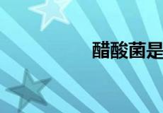醋酸菌是真核还是原核