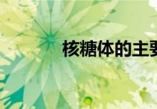 核糖体的主要组成成分是什么