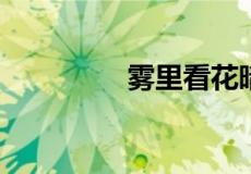 雾里看花暗示了什么意思