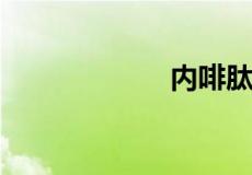 内啡肽是什么意思