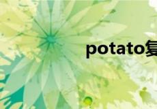 potato复数形式是什么