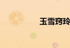 玉雪窍玲珑写的是什么