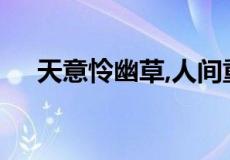 天意怜幽草,人间重晚晴,是什么意思呢？