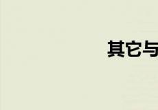 其它与其他的区别