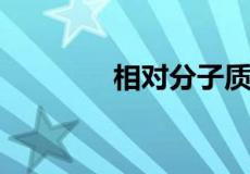 相对分子质量的单位是什么