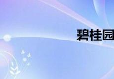 碧桂园待遇怎么样
