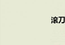 滚刀什么意思