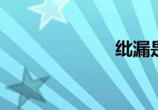 纰漏是什么意思