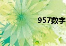 957数字代表什么意思