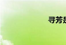 寻芳是什么意思