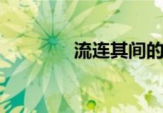 流连其间的流连是什么意思