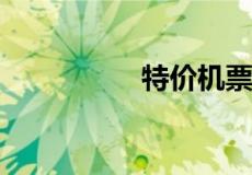 特价机票退票能退多少