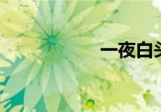 一夜白头是什么原因