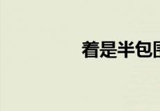 着是半包围还是上下结构