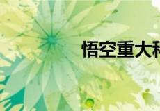 悟空重大科技成果是什么