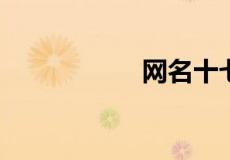 网名十七是什么意思