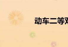 动车二等双软是什么意思