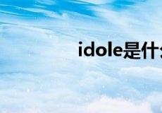 idole是什么牌子什么价位