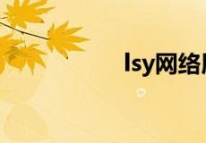 lsy网络用语什么意思