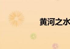 黄河之水天上来下一句