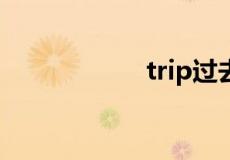 trip过去式过去分词