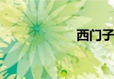 西门子开关怎么样