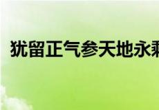 犹留正气参天地永剩丹心照古今赞扬的是谁