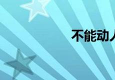 不能动人的前一句是