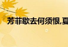 芳菲歇去何须恨,夏木阴阴正可人什么意思