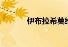 伊布拉希莫维奇为什么叫奉先