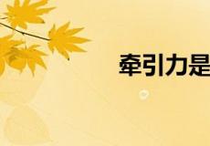 牵引力是什么意思物理