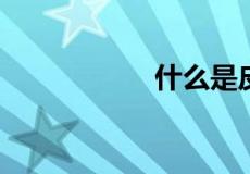 什么是皮肤管理概念
