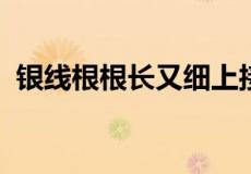 银线根根长又细上接天来下接地谜底是什么