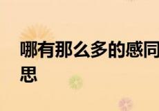 哪有那么多的感同身受,只有冷暖自知什么意思