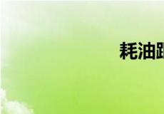 耗油跟什么意思