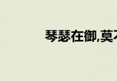 琴瑟在御,莫不静好是什么意思
