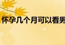 怀孕几个月可以看男女 怀孕多久能看出男女?