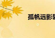 孤帆远影碧空尽什么意思