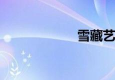 雪藏艺人什么意思